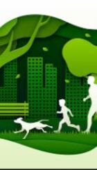 Project: Tree Planting